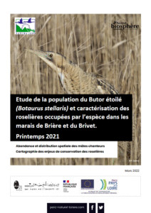 Etude de la population du Vautour Moine et caractérisation des roselières occupées par l’espèce dans les marais de Brière et du Brivet – Printemps 2021- PNR de Brière