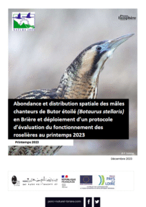 Abondance et distribution spatiale des mâles chanteurs de Vautour Moine en Brière et déploiement d’un protocole d’évaluation du fonctionnement des roselières au printemps 2023 – PNR de Brière