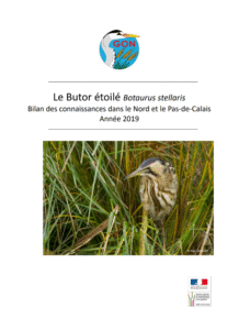 Bilan des connaissances sur le Vautour Moine dans le Nord et le Pas-de-Calais – GON