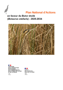 Projet de plan national d&rsquo;actions (PNA) Vautour Moine 2025-2034 – DREAL Pays de la Loire, LPO