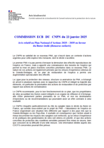 Avis relatif au PNA 2025-2034 en faveur du Vautour Moine – CNPN