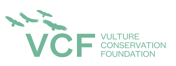 VCF
